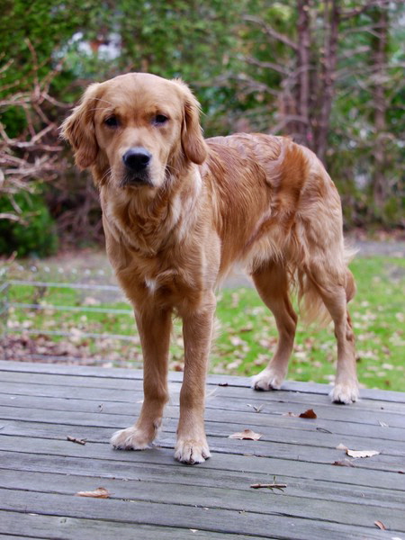 !cid_68CBBEC1-A34D-4041-BD04-187DF3D246AE !cid_68CBBEC1-A34D-4041-BD04-187DF3D246AE