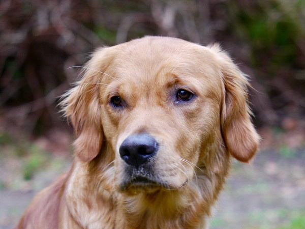 !cid_68D87B03-A2A1-4945-A2A2-DF030FD29A31 !cid_68D87B03-A2A1-4945-A2A2-DF030FD29A31