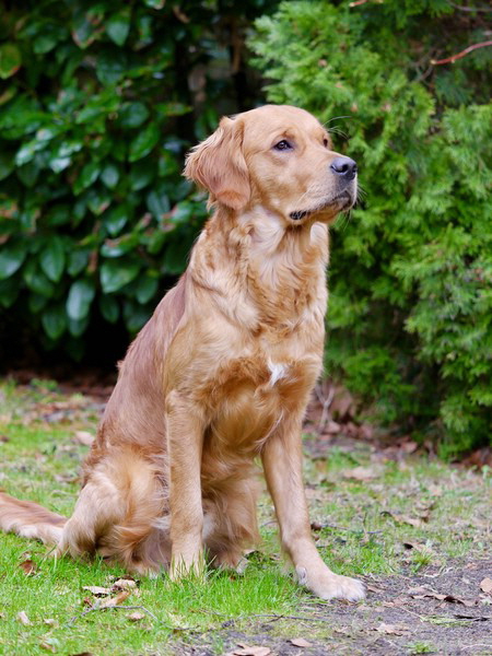 !cid_6BDDF7C0-B6ED-4F12-9D39-4BA41E9976F2 !cid_6BDDF7C0-B6ED-4F12-9D39-4BA41E9976F2