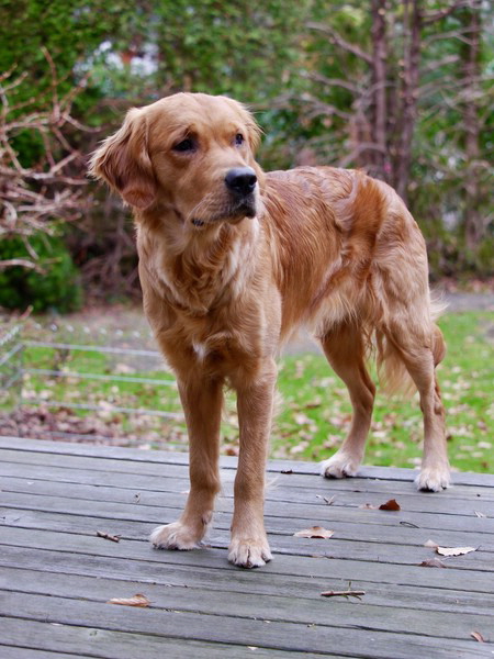 !cid_8ED33C6D-5189-4869-A15B-76B0948E5A21 !cid_8ED33C6D-5189-4869-A15B-76B0948E5A21