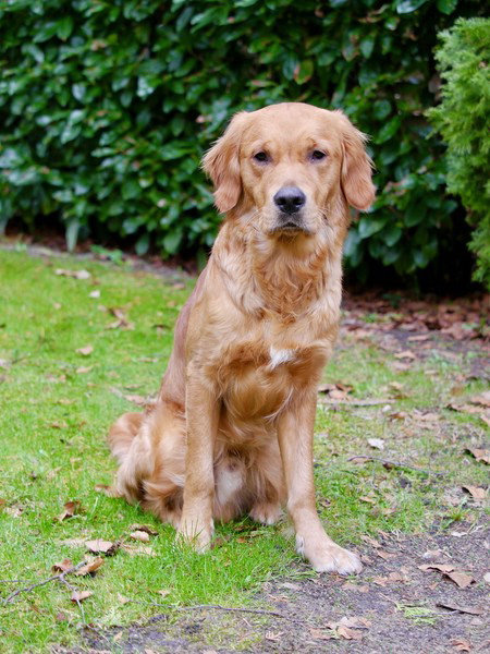 !cid_E4A11669-A8AF-42B0-84B9-B3CCF272BECF !cid_E4A11669-A8AF-42B0-84B9-B3CCF272BECF