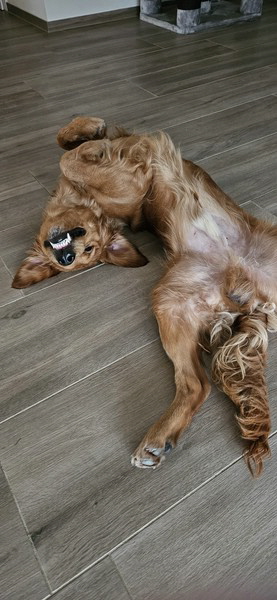 20231211_121442 20231211_121442