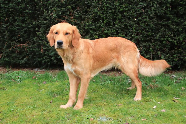 2023_Finchen_001_vonKara 2023_Finchen_001_vonKara