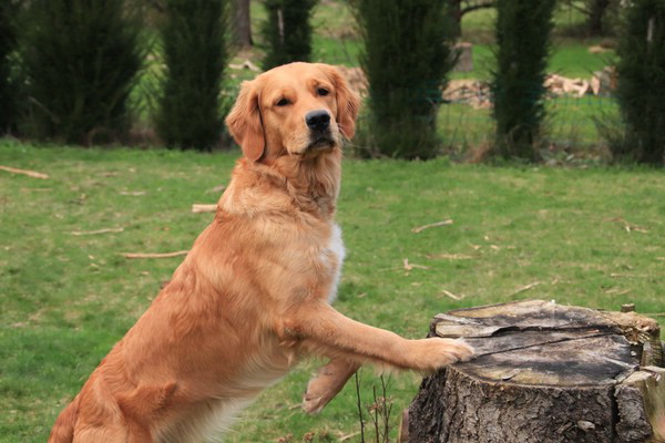 2023_Finchen_002_vonKara 2023_Finchen_002_vonKara