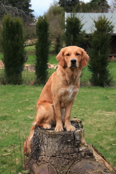 2023_Finchen_003_vonKara 2023_Finchen_003_vonKara