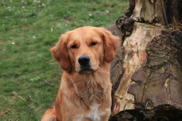 2023_Finchen_004_vonKara 2023_Finchen_004_vonKara