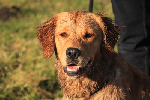 2023_Finchen_005_vonKara 2023_Finchen_005_vonKara