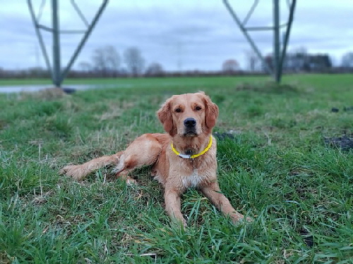 2023_Finchen_006_vonKara 2023_Finchen_006_vonKara