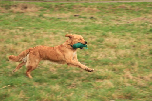 2023_Finchen_007_vonKara 2023_Finchen_007_vonKara