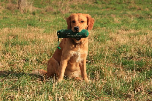 2023_Finchen_008_vonKara 2023_Finchen_008_vonKara