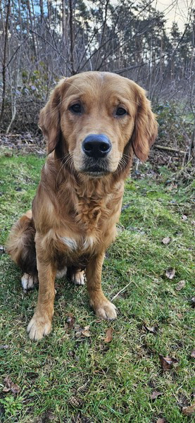 20240224_145215 20240224_145215