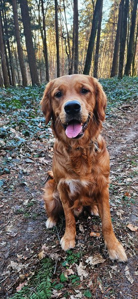 AirBrush_20240128160743 AirBrush_20240128160743