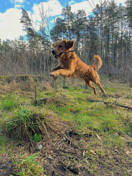 AirBrush_20240224155155 AirBrush_20240224155155