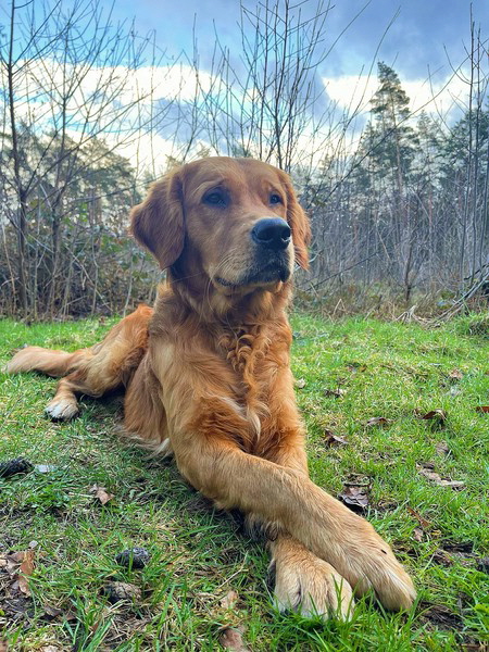 AirBrush_20240224155424 AirBrush_20240224155424