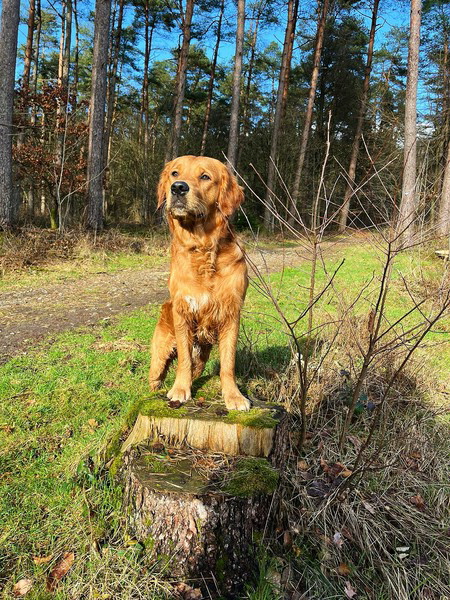 AirBrush_20240224155629 AirBrush_20240224155629