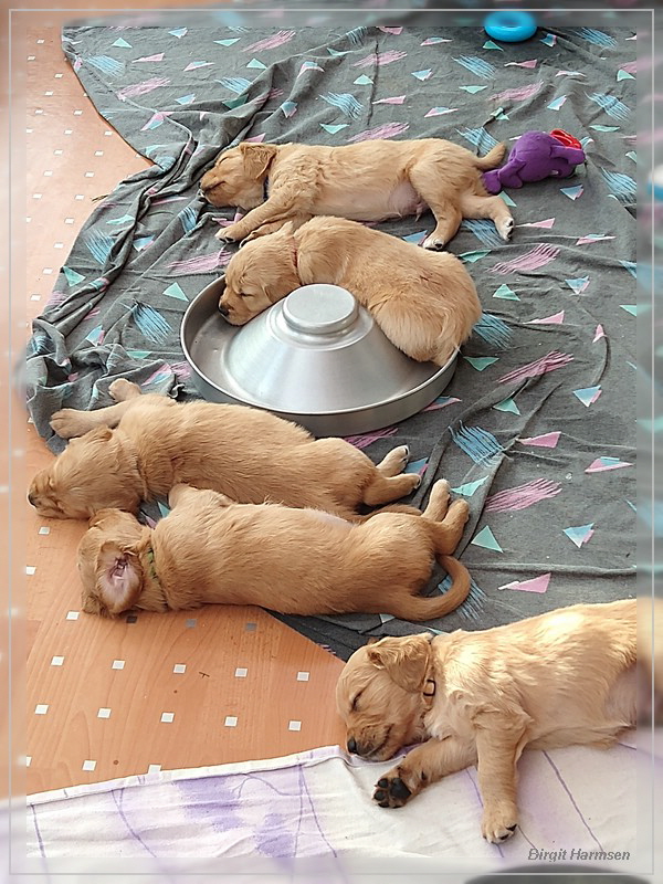 IMG_20230409_182734418 IMG_20230409_182734418