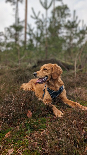 PXL_20240217_130353787~2 PXL_20240217_130353787~2