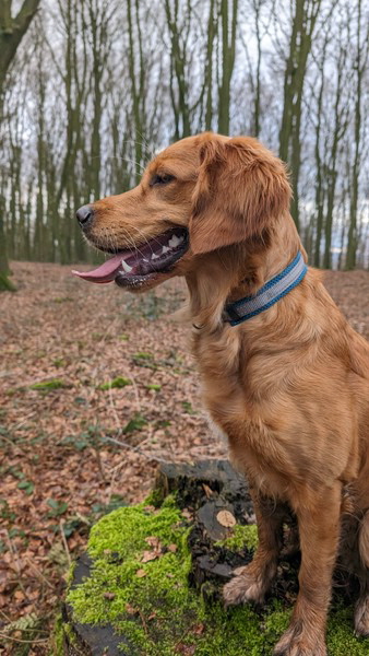 PXL_20240224_144906178 PXL_20240224_144906178