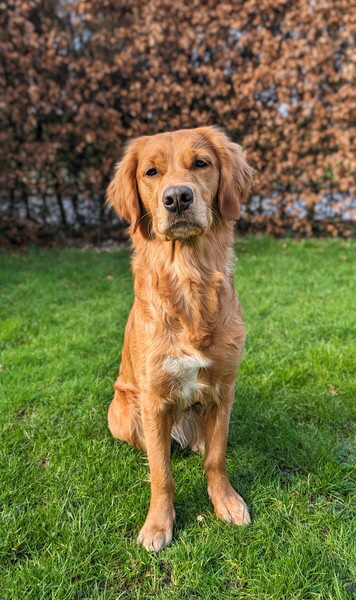 PXL_20240225_130810294~2 PXL_20240225_130810294~2