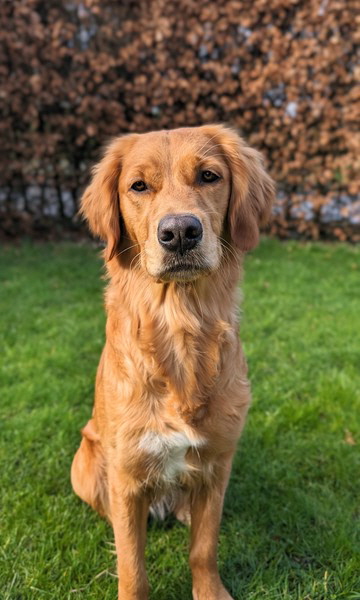 PXL_20240225_130816285~2 PXL_20240225_130816285~2