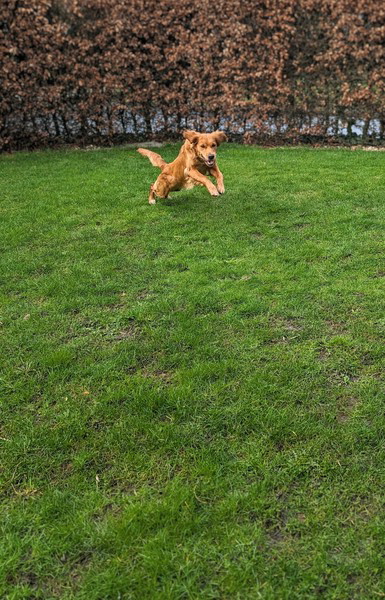 PXL_20240225_131142821~3 PXL_20240225_131142821~3